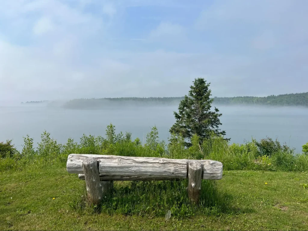 What is Indigenuity (2)