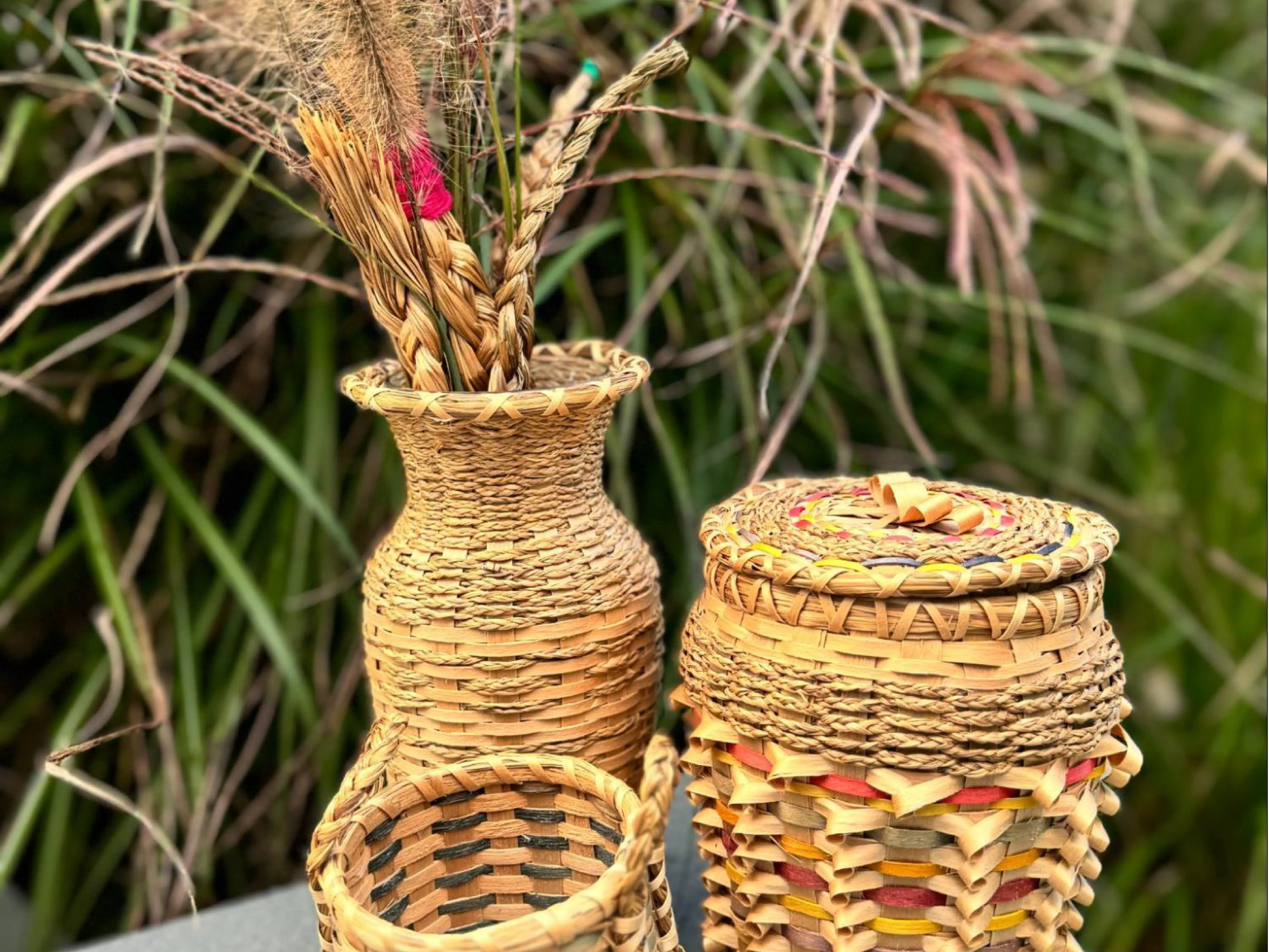 What is Indigenuity (3)